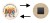 63cd85a3cf2aa35ee53309fe42eaf711